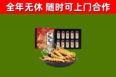 辽阳县回收冬虫夏草价格