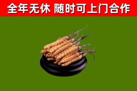 辽阳县烟酒回收冬虫夏草.jpg